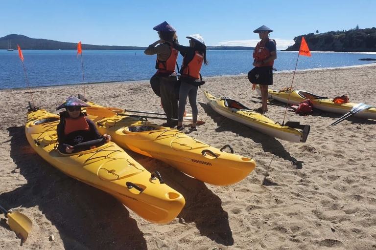 Excursion en kayak de mer sur l'île de Browns MotukoreaRéservation de groupe
