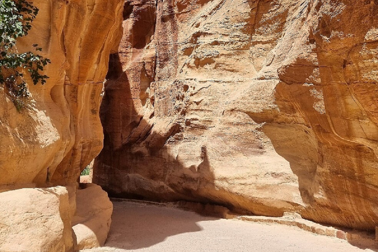 Amman to Petra Full-Day Trip Amman to Petra Full Day Trip By ( Minivan up to 7 pax )