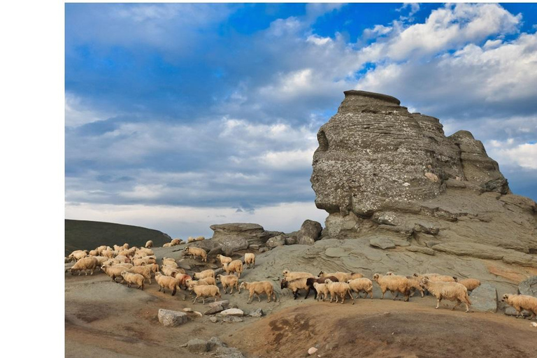 Brașov: Carpathian Mountains Guided Hike with Pickup