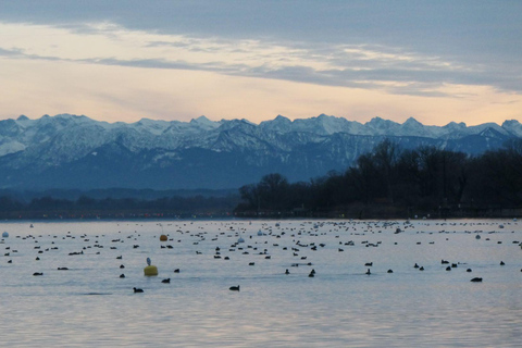 Múnich: De Múnich a Ammersee (lago) en coche -Kayak, SUP