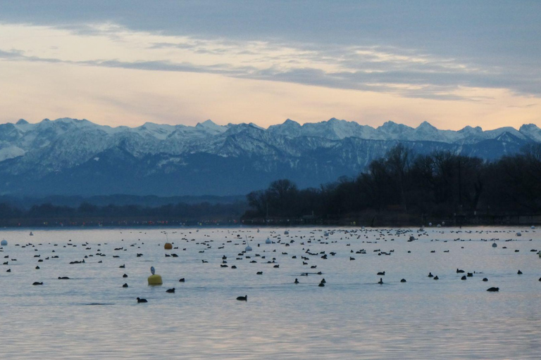 Múnich: De Múnich a Ammersee (lago) en coche -Kayak, SUP