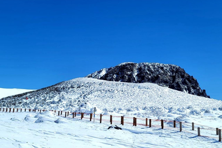 Jeju: HALLASAN National Park Guided Snow Climb (5hr_w/Gear)