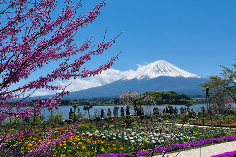 Tokyo: Private Daytrip to Mount Fuji - Fully Customizable Mt Fuji Private Luxury Van Tour (Customizable Experience)