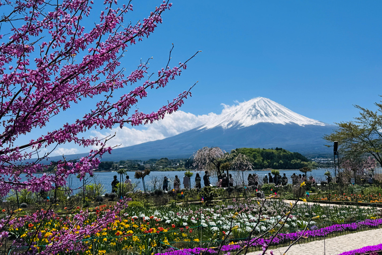 Tokyo: Private Daytrip to Mount Fuji - Fully Customizable Mt Fuji Private Luxury Van Tour (Customizable Experience)