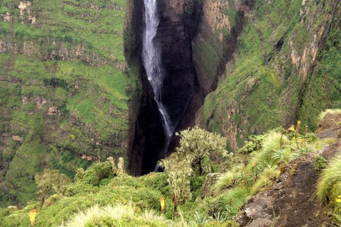 From Axum: 2-Day Simien Mountains Wildlife Tour