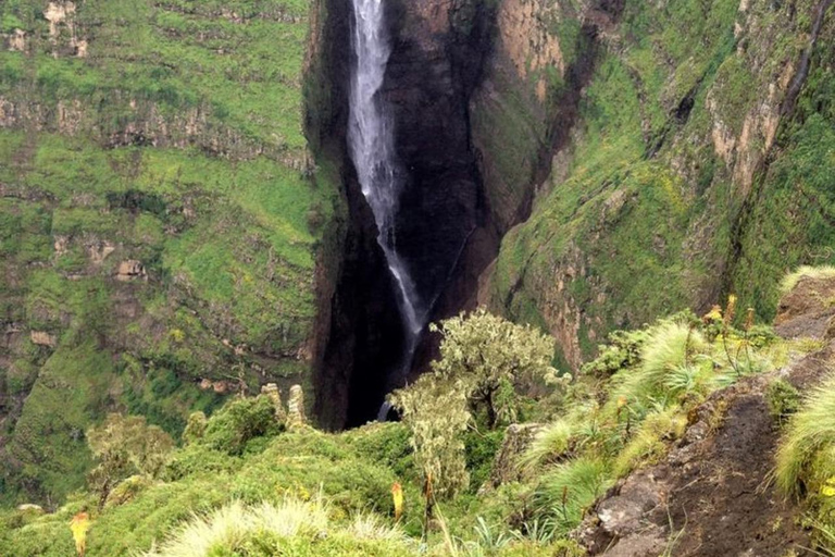 From Axum: 2-Day Simien Mountains Wildlife Tour