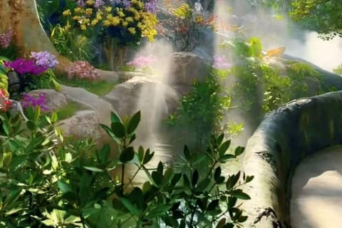 Shanghai: Chenshan Botanical Garden Greenhouse Ticket & Botany Guide