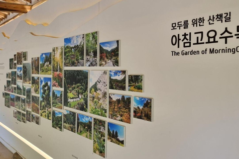 Seoul: Nami Island, Garden of Morning Calm, & Railbike Tour