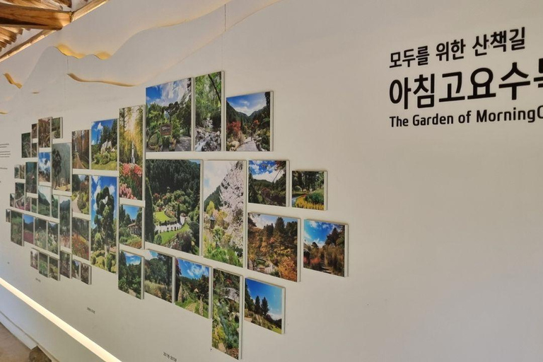 Seoul: Nami Island, Garden of Morning Calm, & Railbike Tour