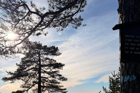 Oslo’s Most Beautiful Fjord Views - light hike version