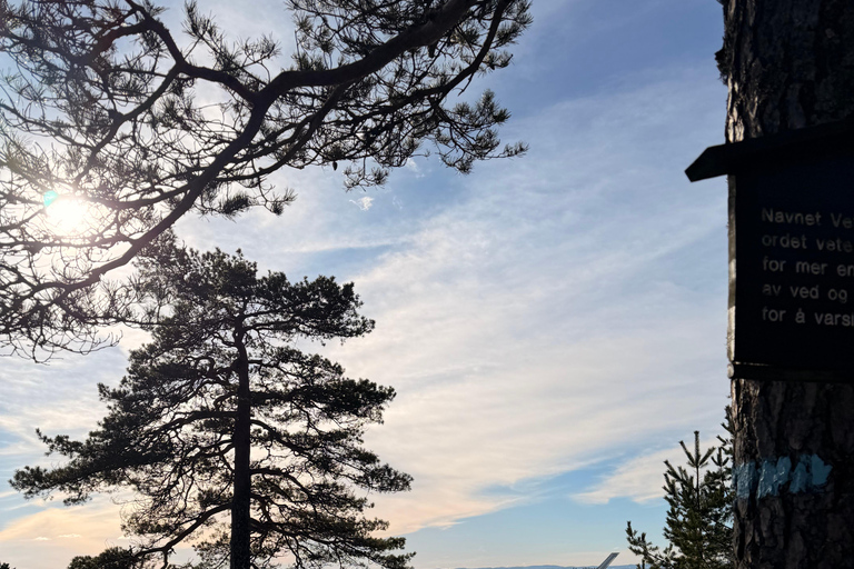Oslo’s Most Beautiful Fjord Views - light hike version