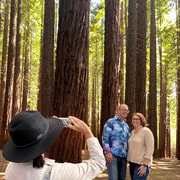 Melbourne: Yarra Valley Redwoods Tour with Wine or Wildlife