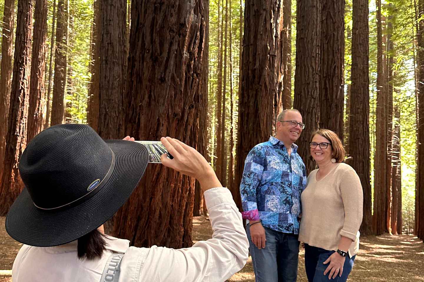 Melbourne: Yarra Valley Redwoods Tour with Wine or Wildlife - Winery Lunch Option