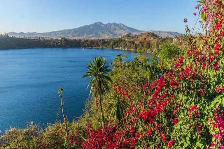 Addis Ababa: Debre Zeit Lakes & Areki Village Day Tour