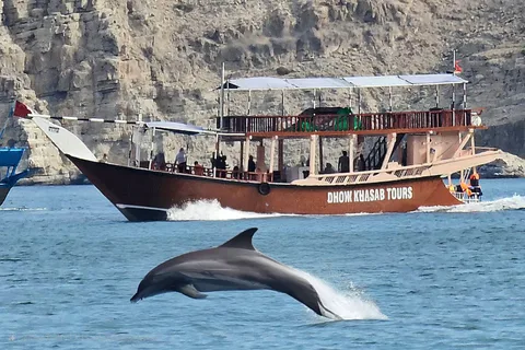 Khasab: Halbtägige Dhow-Kreuzfahrt, Delfinbeobachtung und Schnorcheln