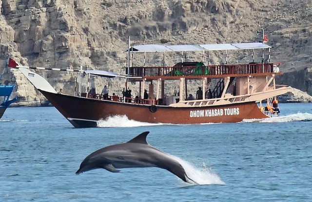 Khasab: Dhow cruise van een halve dag, dolfijnen kijken en snorkelen