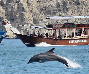 Khasab: Half-Day Dhow Cruise, Dolphin Watching, & Snorkeling