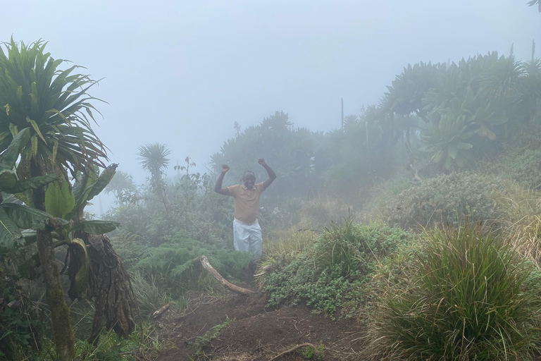 1 Tag Mount Bisoke Wanderabenteuerreise, Volcanoes N Park