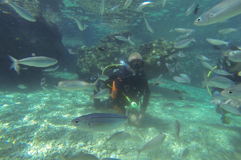 Marmaris: Beginner-Friendly Scuba Diving Tour Marmaris: Scuba Diving Without Hotel Transfer
