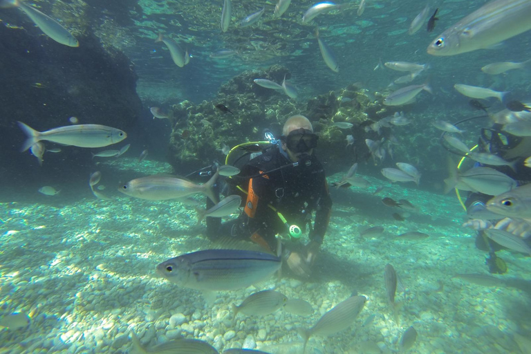 Marmaris: Beginner-Friendly Scuba Diving Tour Marmaris: Scuba Diving Without Hotel Transfer