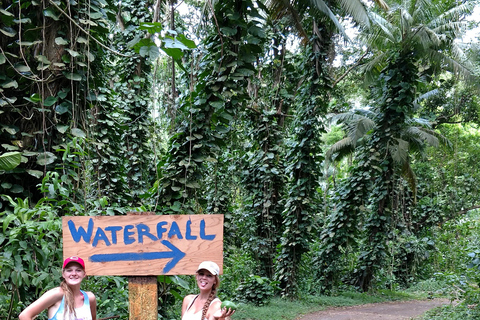 Oahu: Waterfall Hike via Scenic South Shore Drive