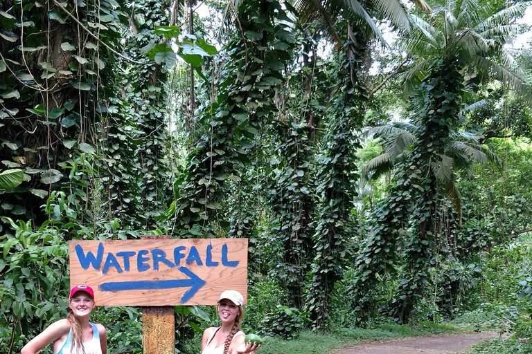 Oahu: Waterfall Hike via Scenic South Shore Drive
