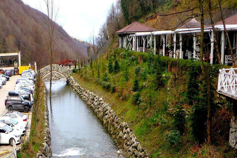 De Istambul: excursão de 1 dia a Sapanca e Maşukiye com almoço