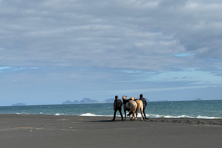Südisland: Reiten am schwarzen Strand Tour