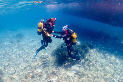 Kusadasi: Scuba Diving for Beginner or Expert Diver w/ Lunch Reef Diving Option ( 40 Minutes )