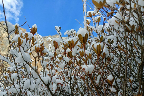 Nepal 9 Days: Langtang Valley Trek & Cultural Sunrise