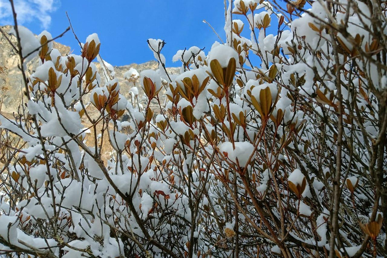 Nepal 9 Days: Langtang Valley Trek & Cultural Sunrise