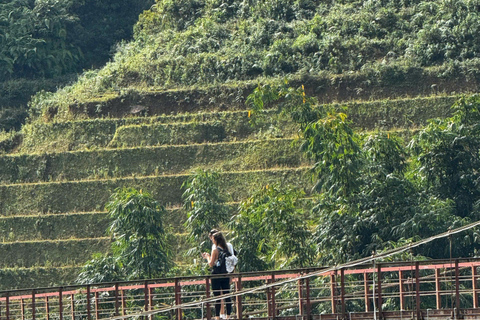 Trek d&#039;une journée à Sapa : rizières en terrasses et villages ethniques