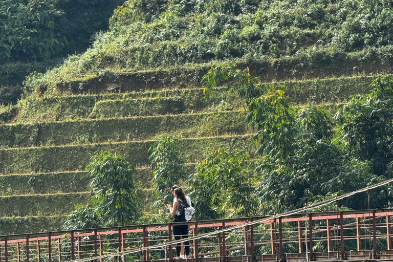 Trek d&#039;une journée à Sapa : rizières en terrasses et villages ethniques