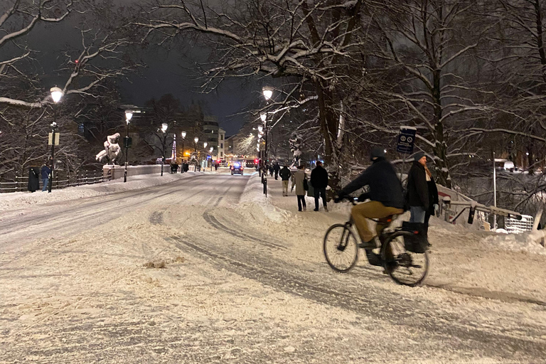 Oslo: Private Vintage Walking Tour with Photos Private Vintage Oslo Walk & Aesthetic Photos