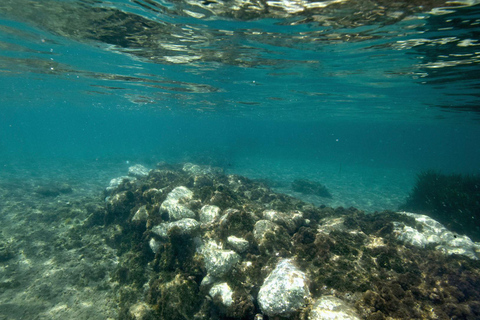 Ischia: Guided Snorkeling among Caves and Submerged Ruins