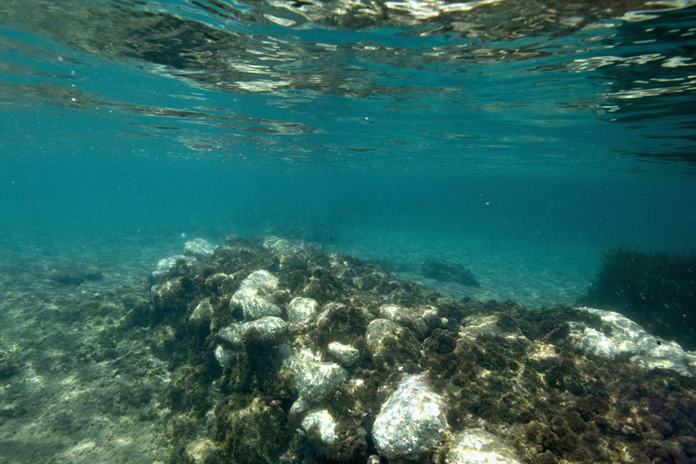 Ischia: Guided Snorkeling among Caves and Submerged Ruins