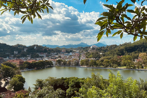 Colombo: Private Transfer to Sigiriya or Kandy with Stops
