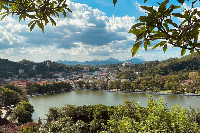 Colombo: Private Transfer to Sigiriya or Kandy with Stops