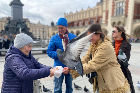 克拉科夫老城奇迹与圣玛丽教堂的魔力