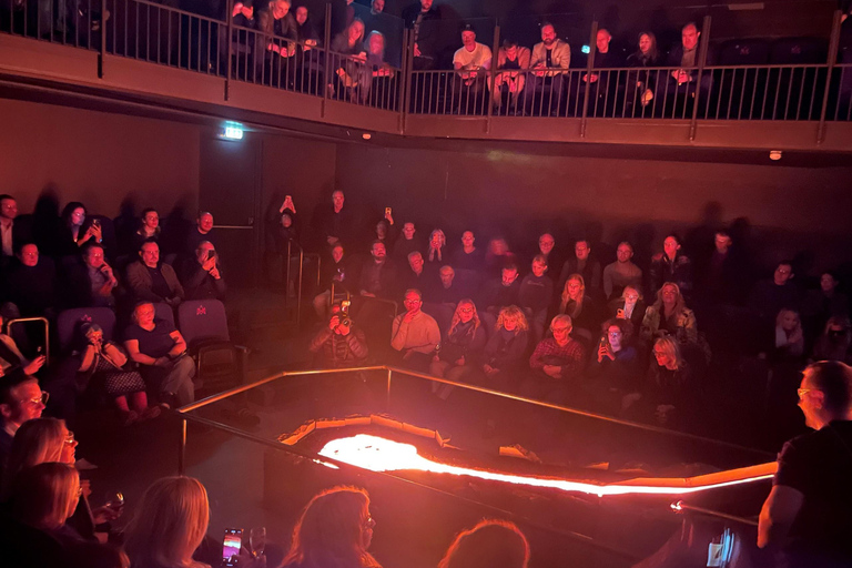 Reykjavík : Billet d'entrée au spectacle de lave