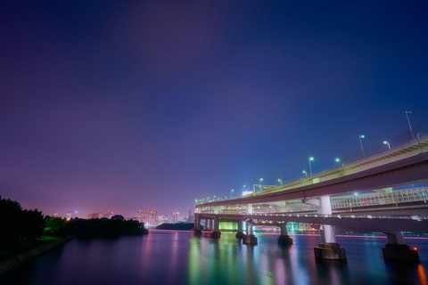 Tokyo: Tokyo Full Day private tour With english Driver Tokyo Full Day private tour With english Driver