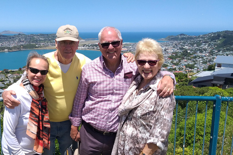 Wellington: Tour guiado na cidade com passeio de teleférico