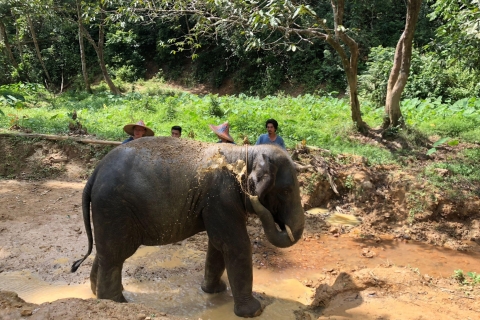 Phuket : Rafting en eaux vives, tyrolienne et soins aux éléphantsRafting en eaux vives, VTT, pont de corde, tyrolienne et cascade