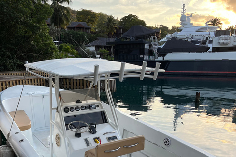 Saint Lucia: Private 4-Hour Cruise to Anse Cochon