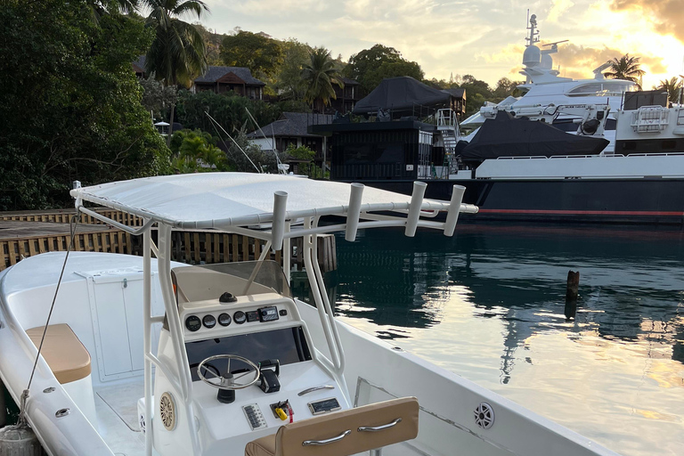 Saint Lucia: Private 4-Hour Cruise to Anse Cochon