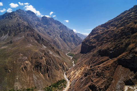 From Arequipa: Colca Canyon Day Trip with Condor Viewing Drop-off in Puno