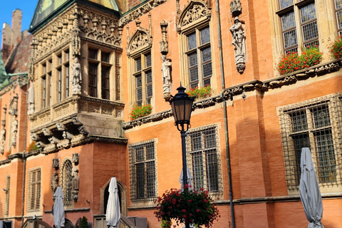 Wrocław: Boat Cruise with licensed guide only for your group Wrocław guided walking tour and closed boat cruise