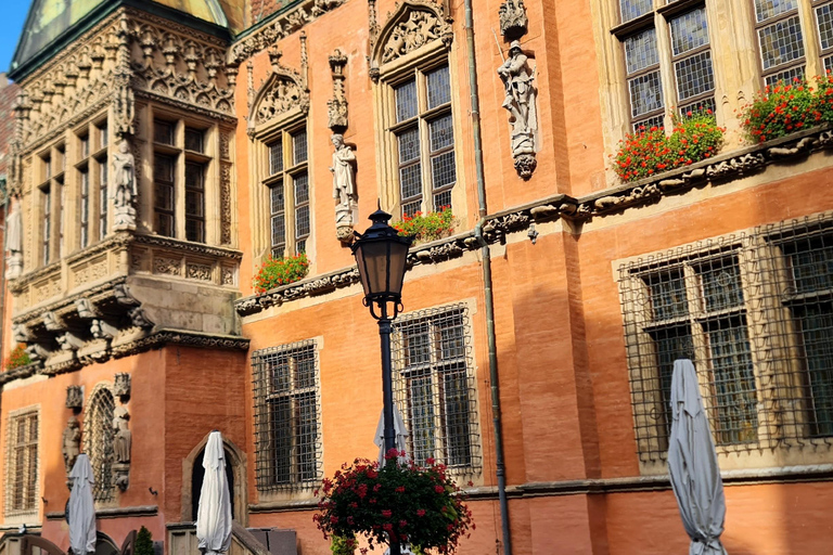 Wrocław: Boat Cruise with licensed guide only for your group Wrocław guided walking tour and closed boat cruise