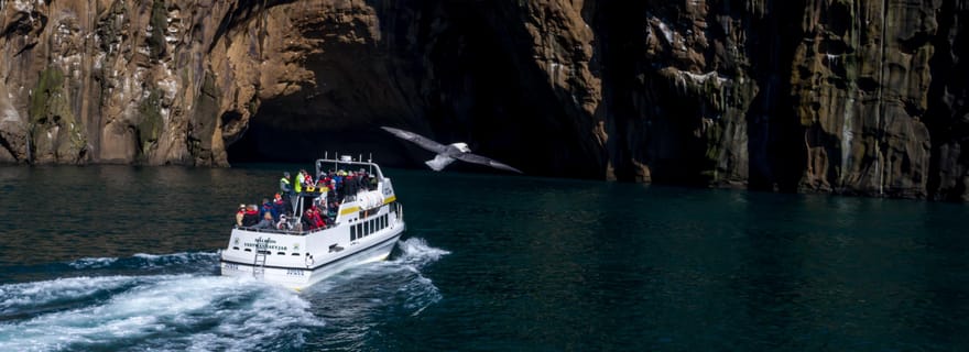 Vestmannaeyjar : Excursion en bateau pour observer les macareux, les îles et les volcans