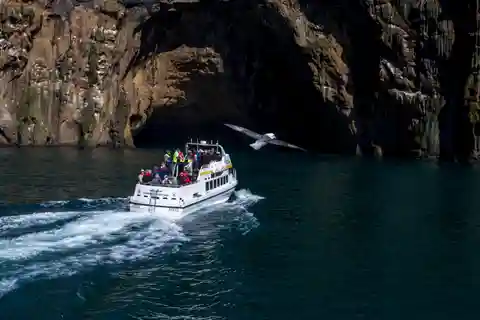 Vestmannaeyjar: Puffin, Island, and Volcano Boat Tour
